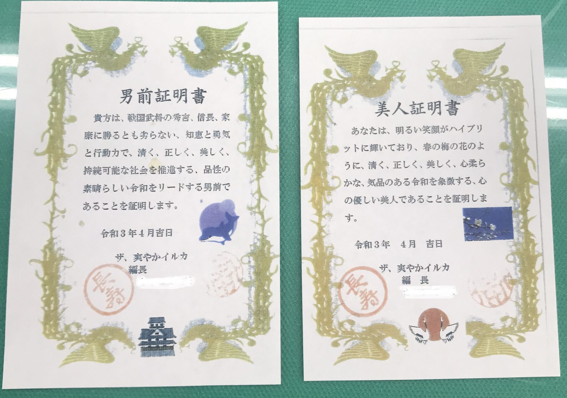 ⭐️値下げ不可です⭐️光明美人温泉（製造証明書付き） 光明美人温泉（製造証明書付き） 【公式通販】